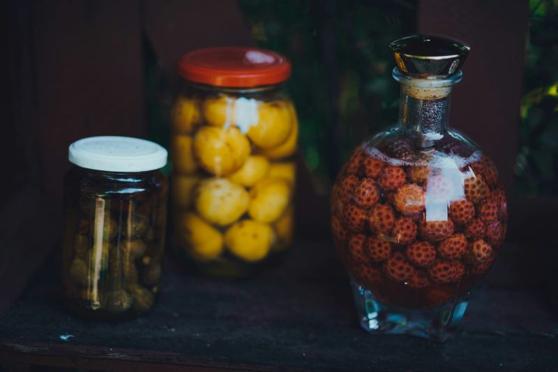 Вебинар «Ферментация»